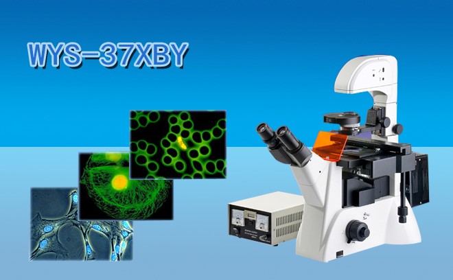 细胞研究用的生物显微镜分类和工作原理