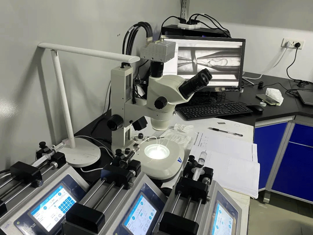 体视显微镜.png