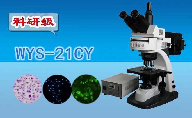 荧光显微镜技术包括哪几种？