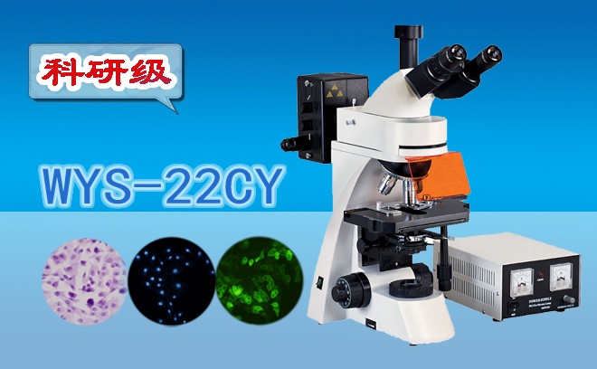 荧光显微镜使用