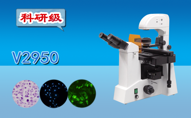 倒置荧光显微镜的特点和倒置荧光显微镜与正置荧光显微镜有什么区别